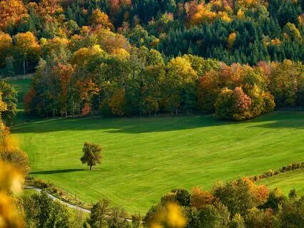 Anne Of Green Gables - Book 3