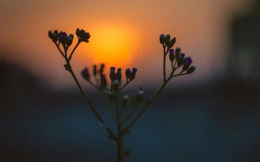 Another Time, Another Place (Calming Piano)