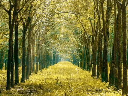 Answering The Call: Embrace Your Soul's Gift