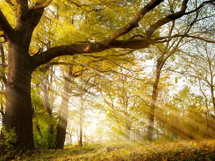 Answering The Call Of Mary Magdalene