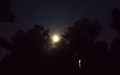 Answers As You Sleep