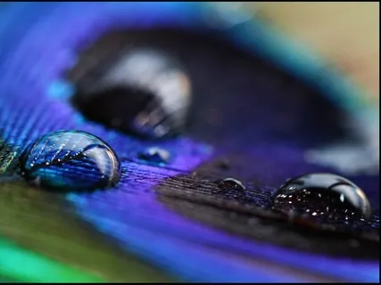 Antar Mouna (Beginners): Profound Inner Silence