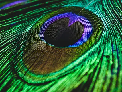 Antar Mouna (Intermediate): Profound Inner Silence