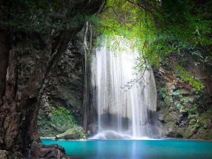 Anti-Aging Activation: 285 Hz Tuning Fork + Delta Waves