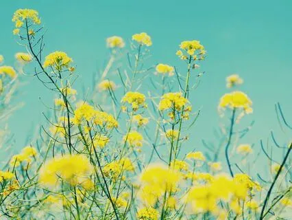 Anti-Anxiety Breathing For Instant Calm