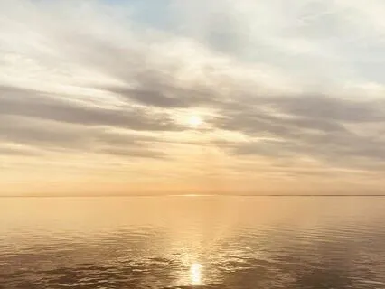 Anti Anxiety Calming Music Meditation (5 Minutes)