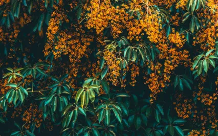 Анти-Стресс 2.0 - Лучшее Средство от Стресса