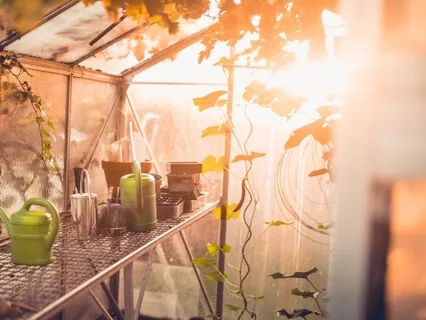 Anti Virus Frequency Music 741Hz - Immune System Booster