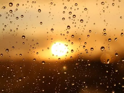 Antidote For Anxiety