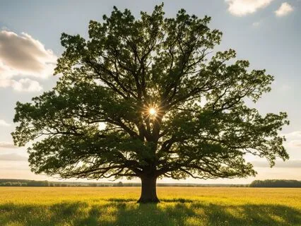 Antidote To Procrastination