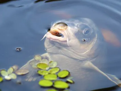 Anti-Stress-Atmung: Mini-Breathwork für's Büro