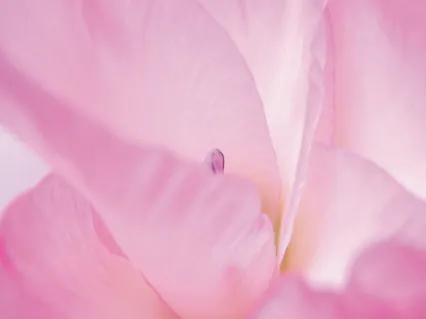 Anuenue - Insight Timer Special Version