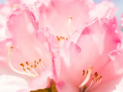 Anxiety: A Portal to Spirit, Class 3