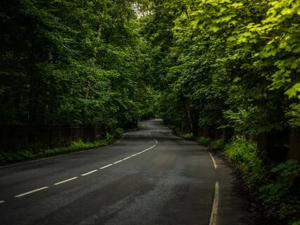 Anxiety Alleviation: Calming Musical Escape