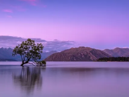 Anxiety & Panic Attack Relief