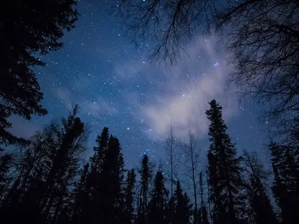 Binaural Beat For Anxiety & Sleep 