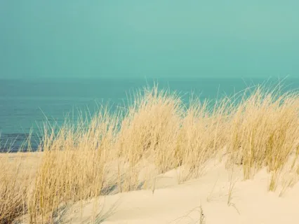 Anxiety And Stress Meditation