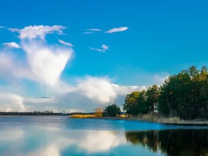Anxiety And Stress Relief: Embrace The Calm Of A Lake