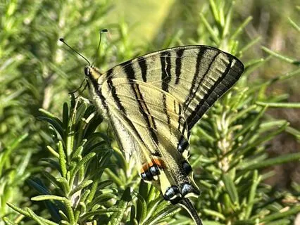 Anxiety And Stress Relief Meditation