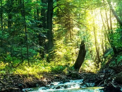 Stress Relief Visualization