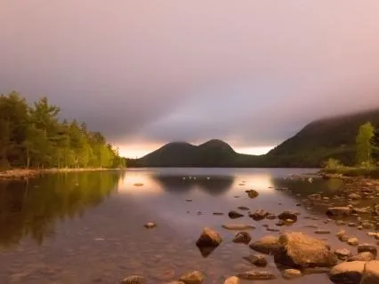 Anxiety And Stress Relief