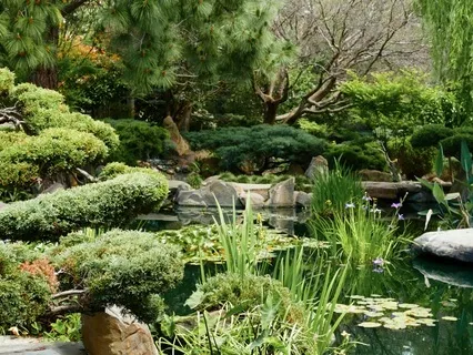 Anxiety Away For Everyone