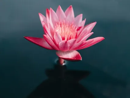 Anxiety-Dissolving Root Chakra Meditation