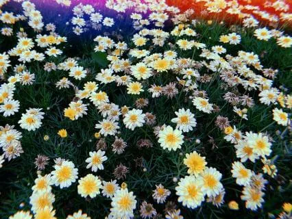 Anxiety Does Not Control Me