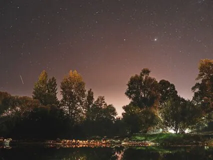 Anxiety-Free Harmony: Peaceful Vibes