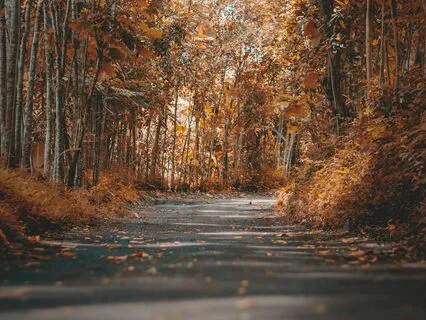 Anxiety-Free Wake-Up Meditation