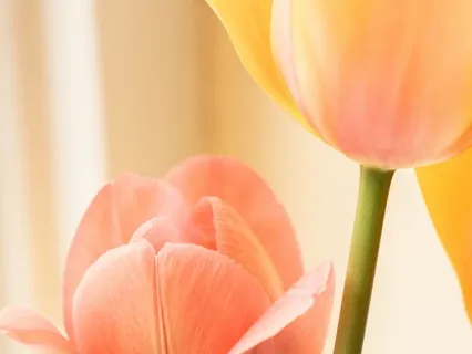 Anxiety From A Spiritual Psychology Perspective