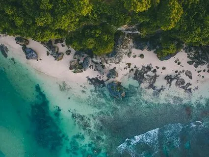 Anxiety Melts: Soft Sounds Of Comfort