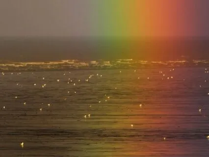 Anxiety Or Intuition? Using Our Values As A Compass