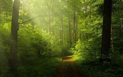 Anxiety Reduction - Calming Meditation