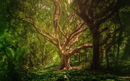 Anxiety Reduction - Inner Calm