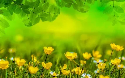 Anxiety Reduction - Quietude Journey