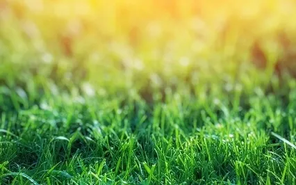 Anxiety Reduction - A Quiet Journey