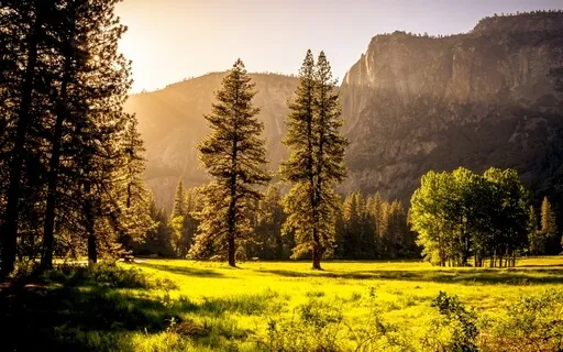 Anxiety Reduction - Absolute Stress Relief Music