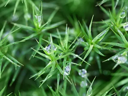 Anxiety Reduction - Achieve Stress-Free State Of Mind