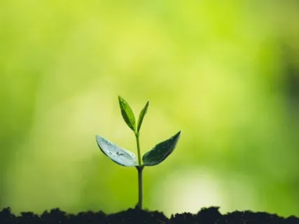 Anxiety Reduction - Ambient Music For Stress Relief