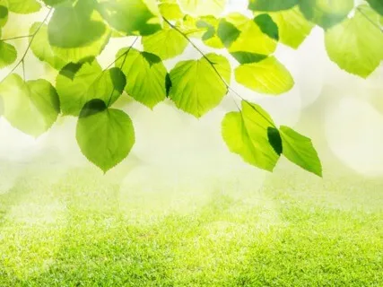 Anxiety Reduction - Anti-Anxiety Cleanse