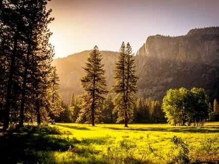  Anxiety Reduction: Anti-Anxiety Cleanse