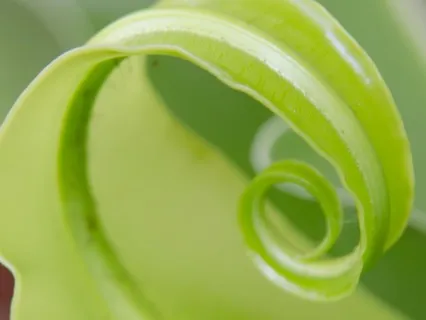 Anxiety Reduction - Anti-Anxiety Music