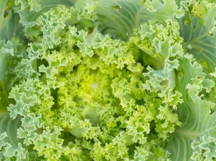 Anxiety Reduction - Anti-Anxiety Music