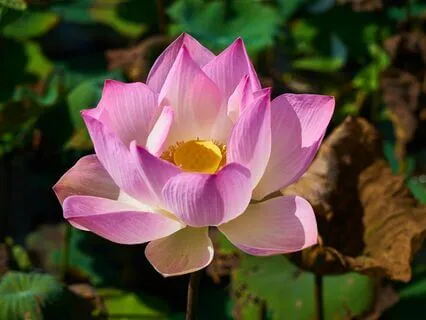 Anxiety Reduction - Anxieties Embrace Calm