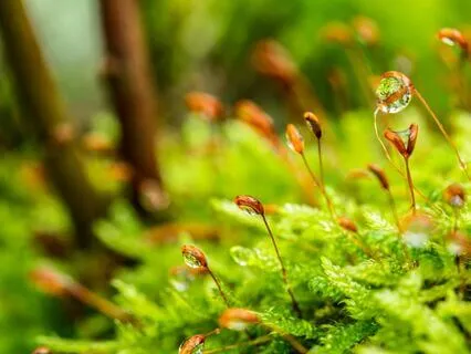 Anxiety Reduction - Anxieties Embrace Calm