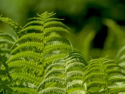 Anxiety Reduction - Anxiety-Proofing Your Daily Routine