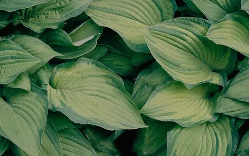 Anxiety Reduction - Anxiety Reducing Music