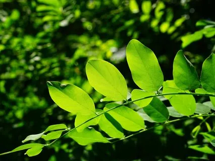 Anxiety Reduction - Art Therapy For Anxious Minds