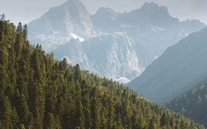 Anxiety Reduction - Beautiful Slumber